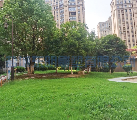 园林景观